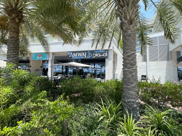 Among the palms · The Amwaj terrace